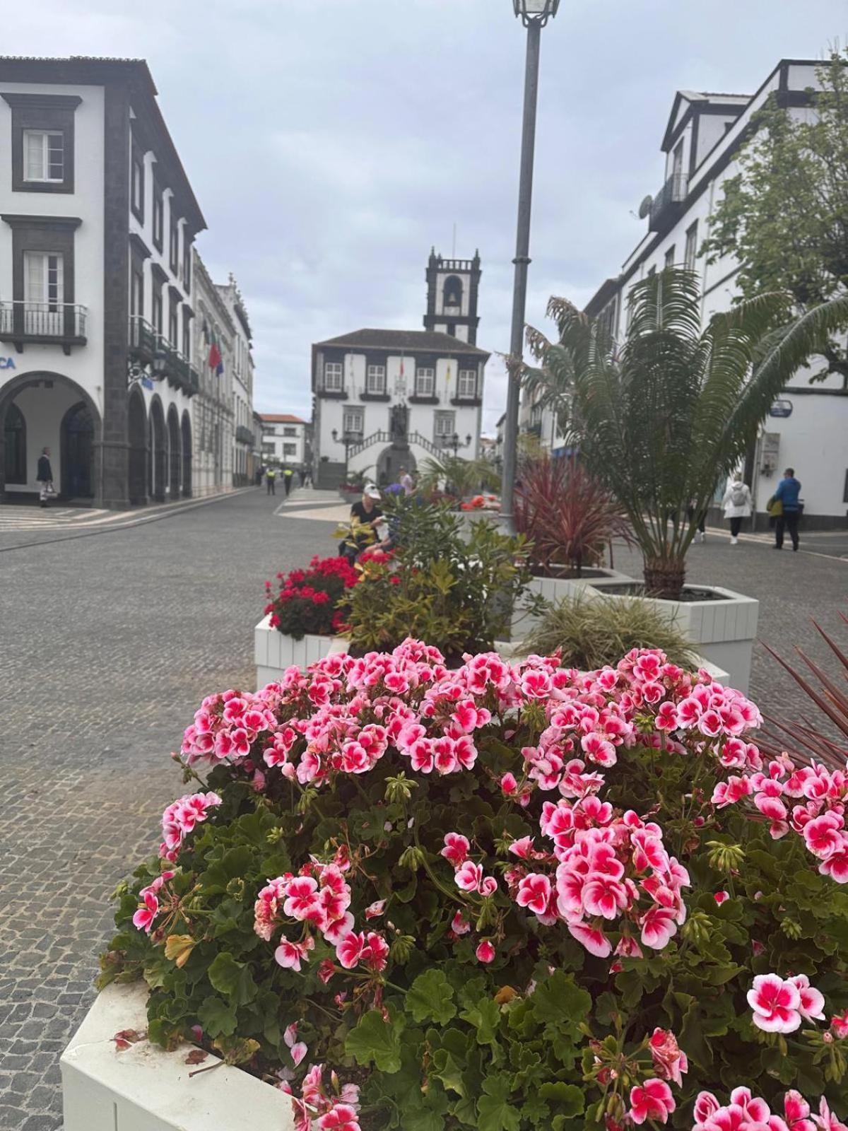 Azor International Apartment I Ponta Delgada Exteriér fotografie