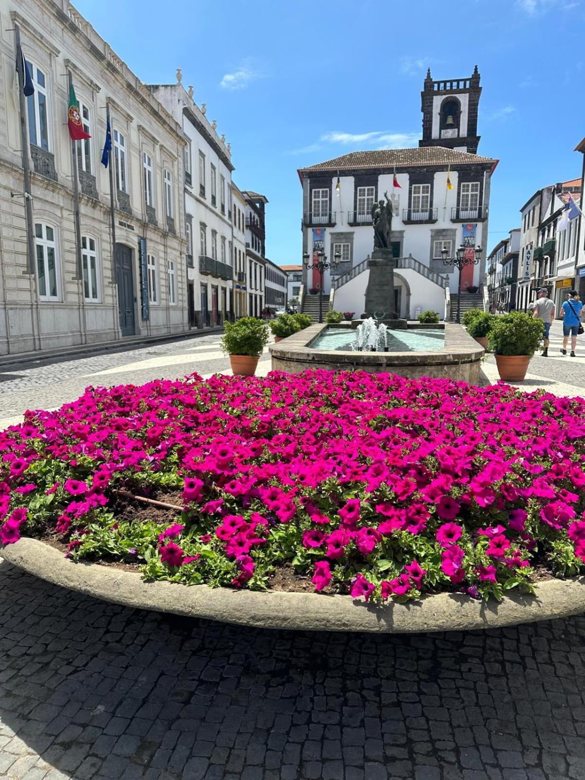 Azor International Apartment I Ponta Delgada Exteriér fotografie